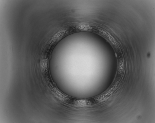 X0000100840473200806271117