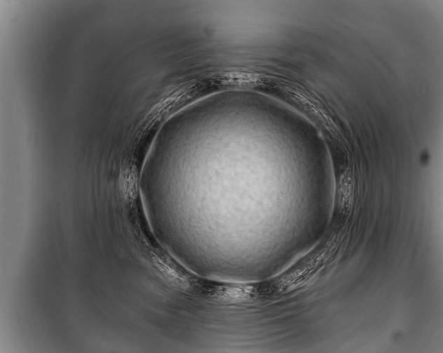 X0000100840474200806271117