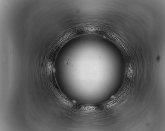 X0000100840476200806271117