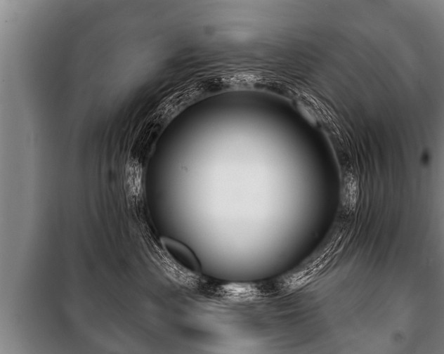 X0000100840477200806271117