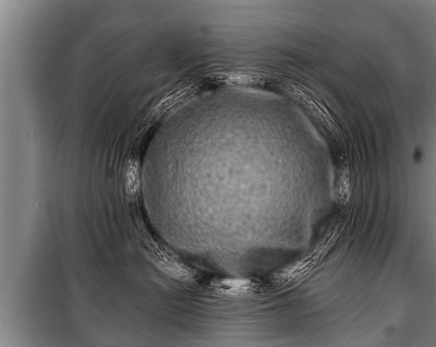 X0000100840478200806271117