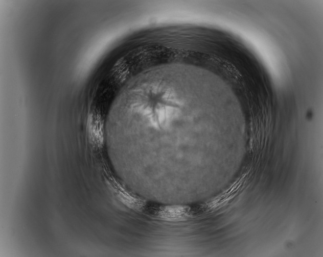X0000100840479200806271117