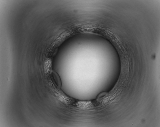 X0000100840480200806271117