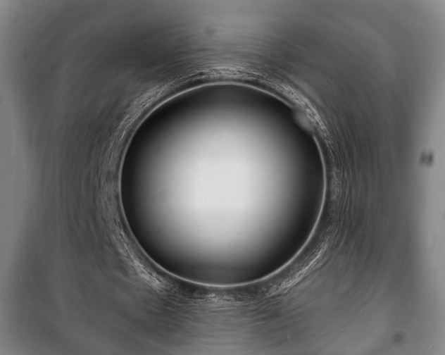 X0000100840481200806271116