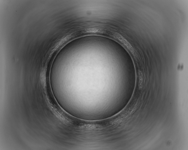 X0000100840482200806271116