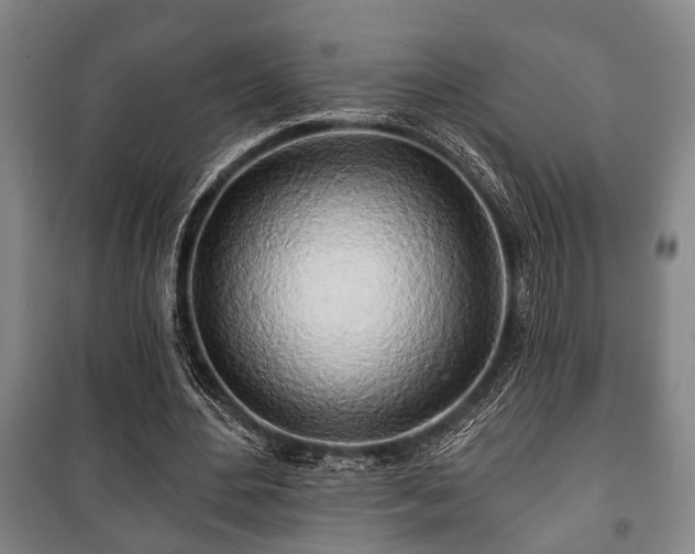 X0000100840484200806271116