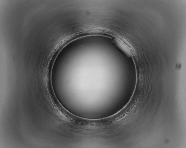 X0000100840485200806271116