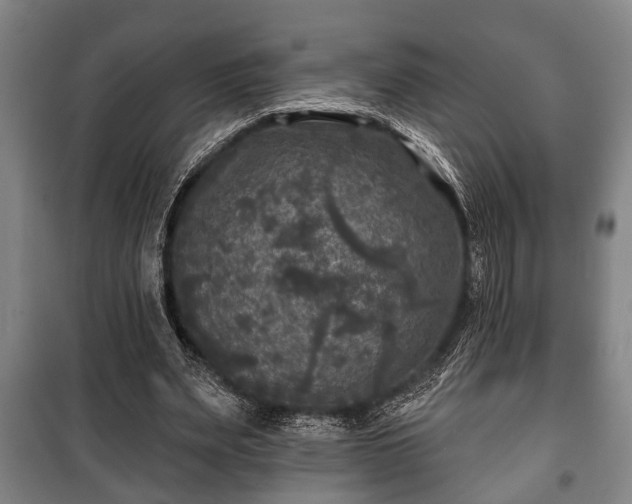 X0000100840487200806271116