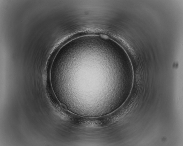 X0000100840488200806271116