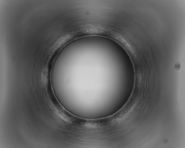 X0000100840490200806271116