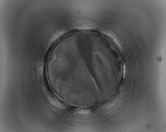 X0000100840491200806271116