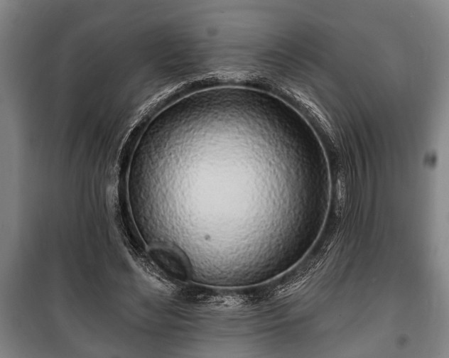 X0000100840492200806271116