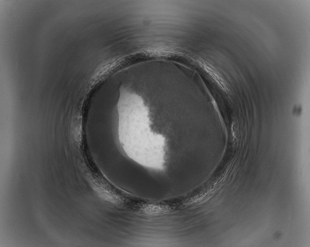 X0000100840494200806271116