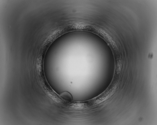 X0000100840497200806271116