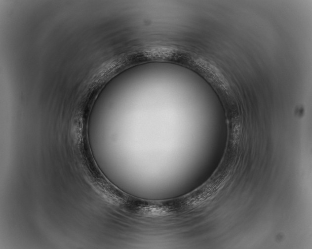 X0000100840498200806271116