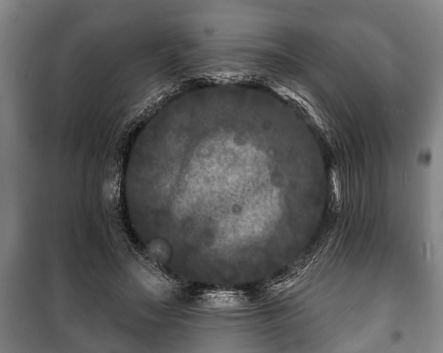 X0000100840499200806271116