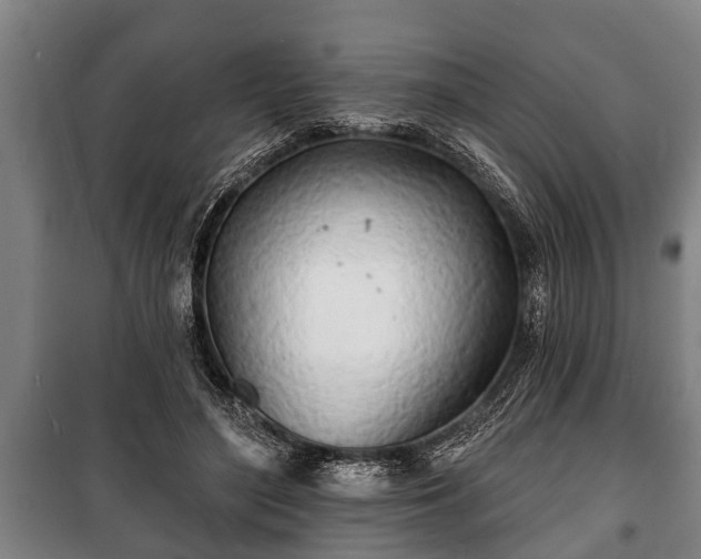 X0000100840500200806271116