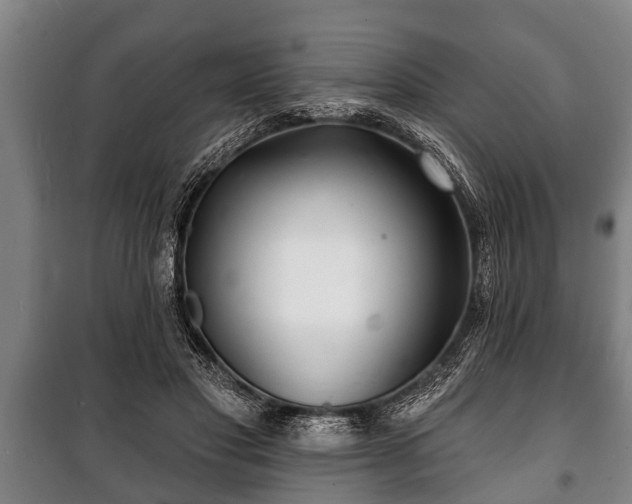 X0000100840501200806271116