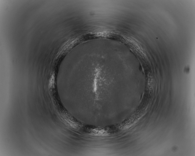 X0000100840502200806271116