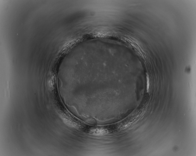 X0000100840503200806271116