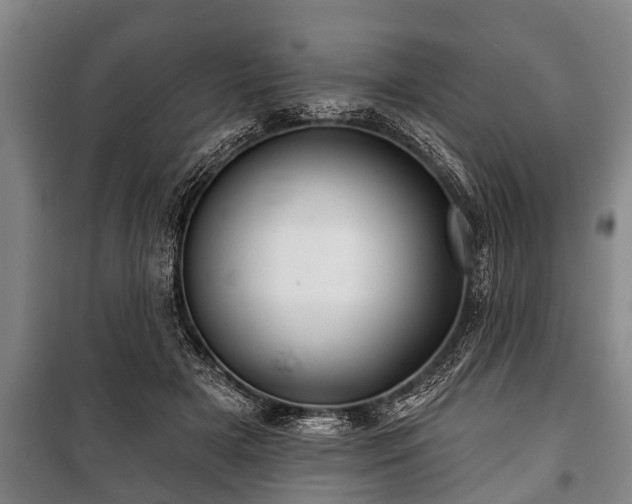 X0000100840505200806271116