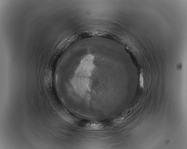 X0000100840506200806271115