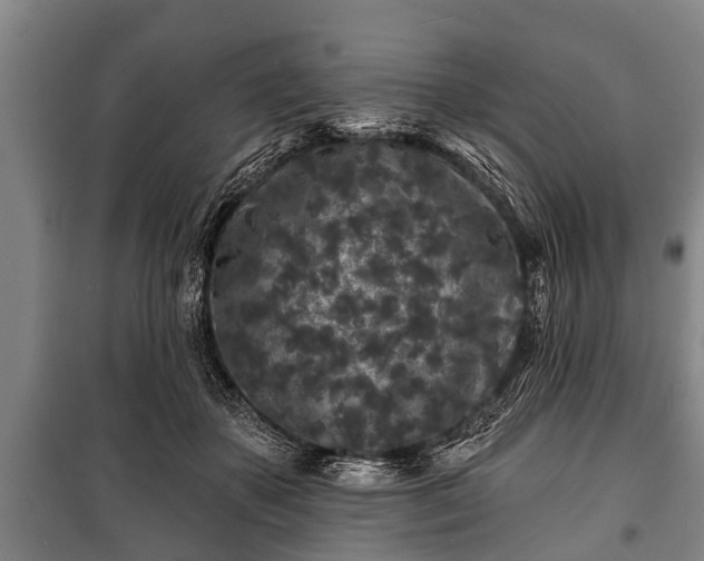 X0000100840507200806271115