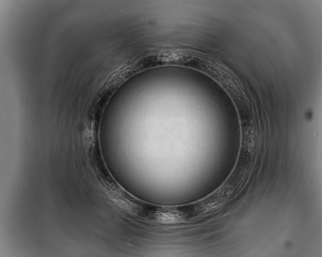 X0000100840510200806271115