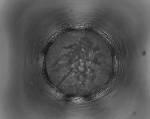 X0000100840511200806271115