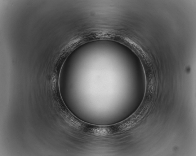 X0000100840513200806271115