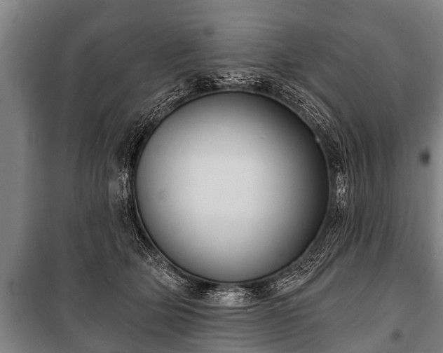 X0000100840514200806271115