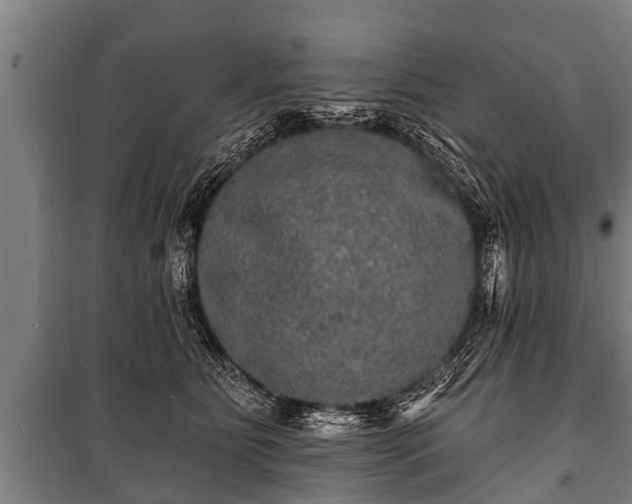 X0000100840515200806271115