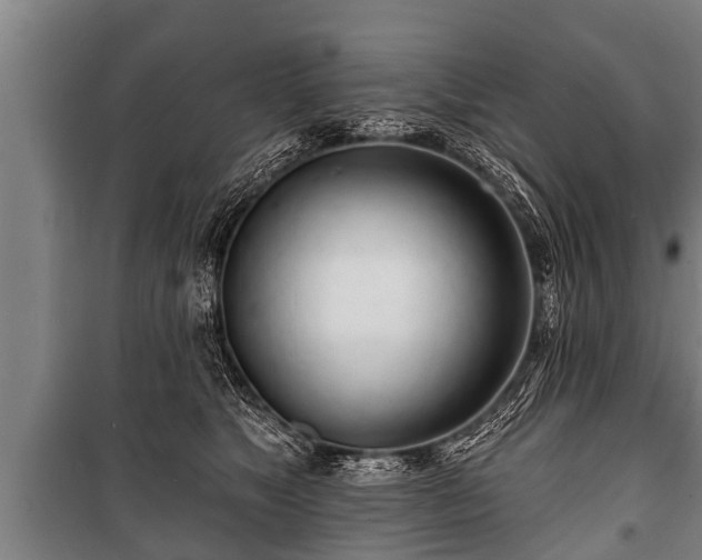 X0000100840517200806271115