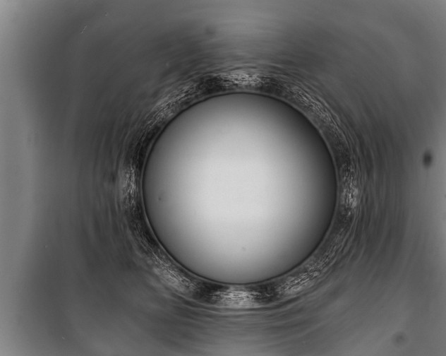 X0000100840518200806271115