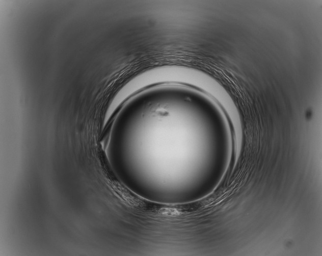 X0000100840519200806271115