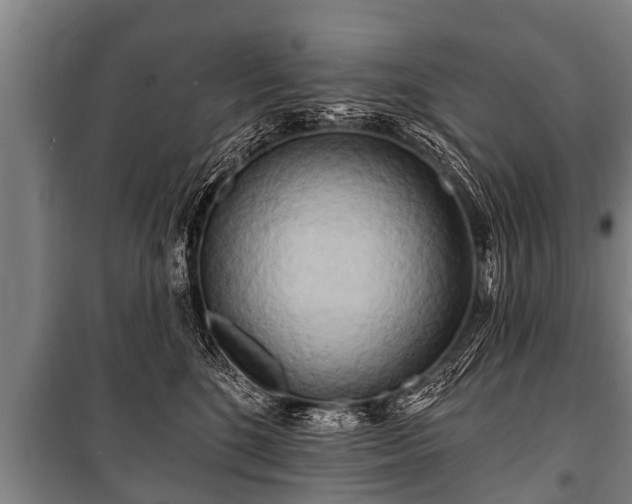 X0000100840520200806271115