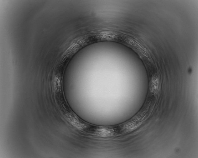 X0000100840522200806271115