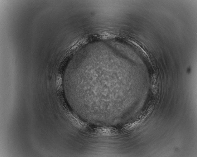 X0000100840523200806271115