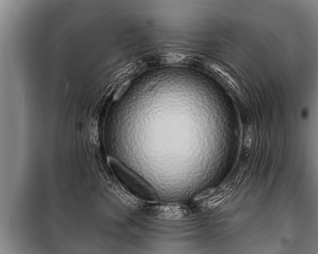 X0000100840524200806271115