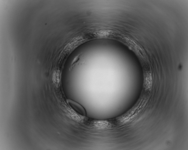 X0000100840525200806271115