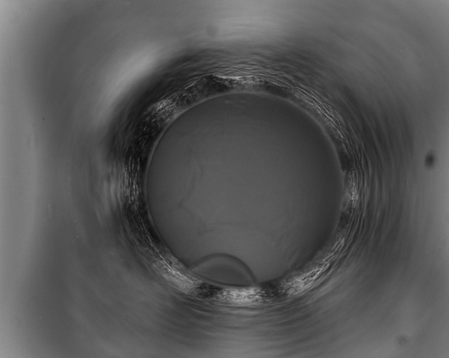 X0000100840526200806271115