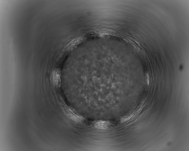 X0000100840527200806271115