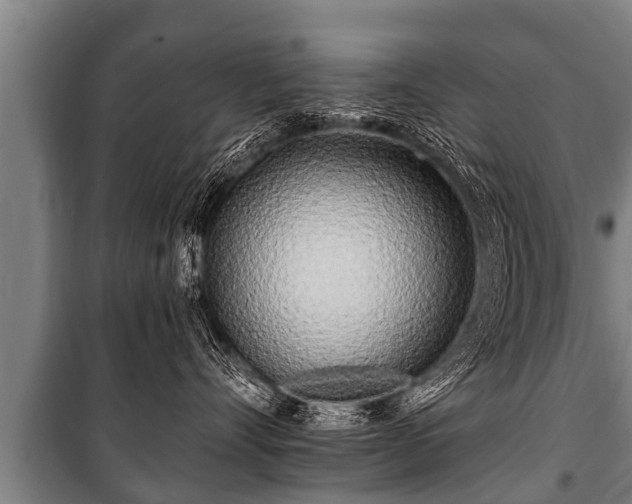 X0000100840528200806271115