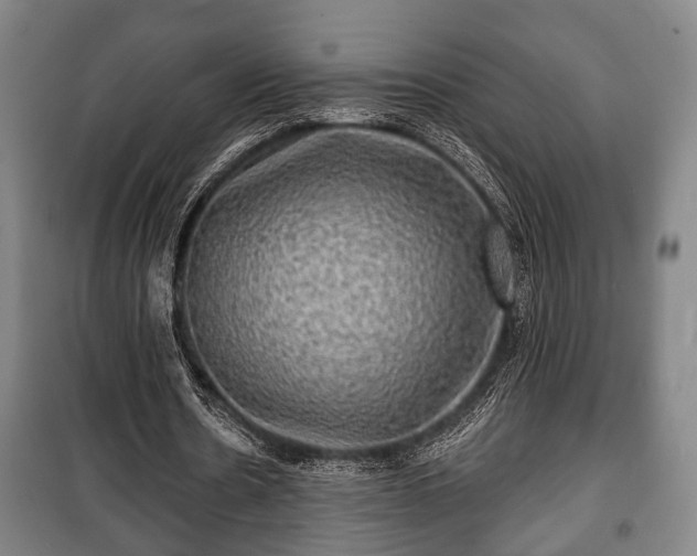 X0000100840530200806271114