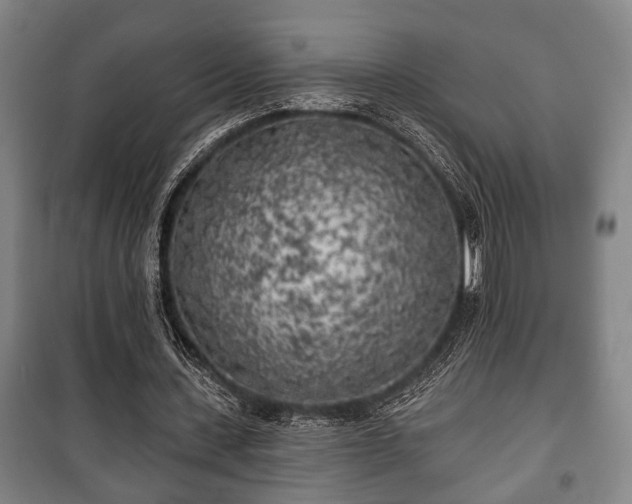 X0000100840531200806271115