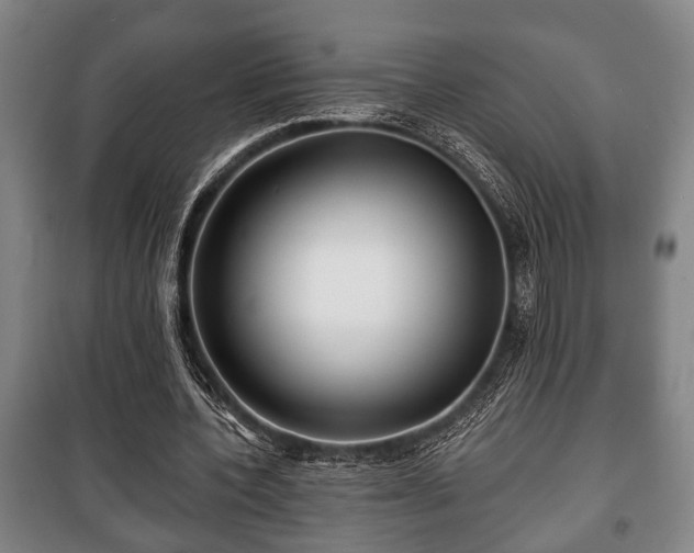 X0000100840532200806271115