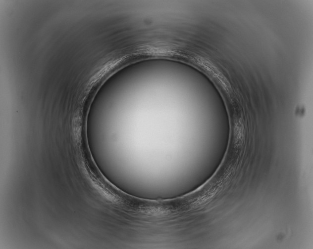 X0000100840533200806271115