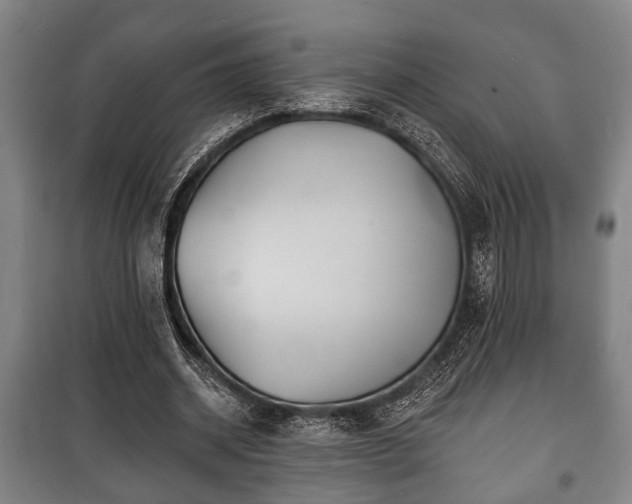 X0000100840534200806271115