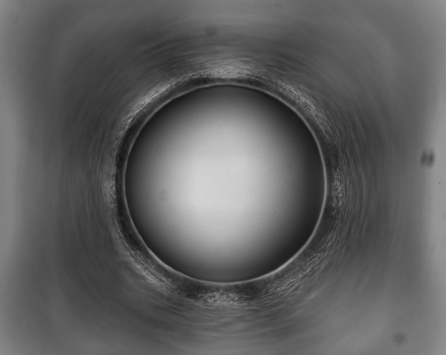 X0000100840535200806271115