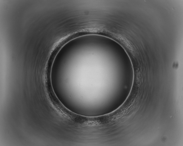 X0000100840536200806271115